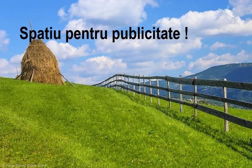 Casă cu teren 7.000 mp în Pui